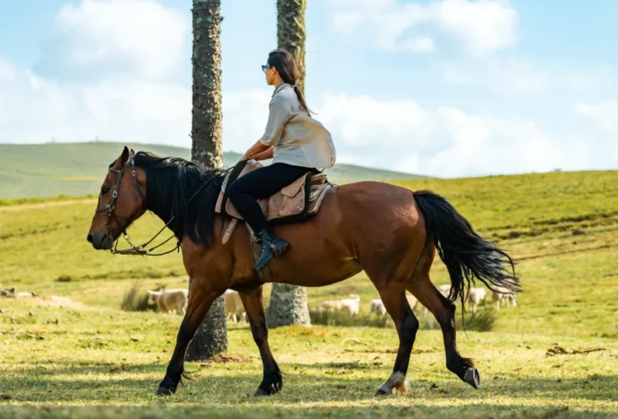 passeio-a-cavalo-parador-casa-hoteis